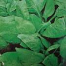 Super Seeds Giant Leaf Spinach 850 Pcs
