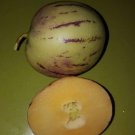 Super Seeds Solanum Muricatum Cucumber Melon Rich Fruit 12 Pcs