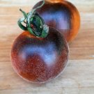 Super Seeds Var. Blue Tomato Rare Hairy Tomato 10 Pcs