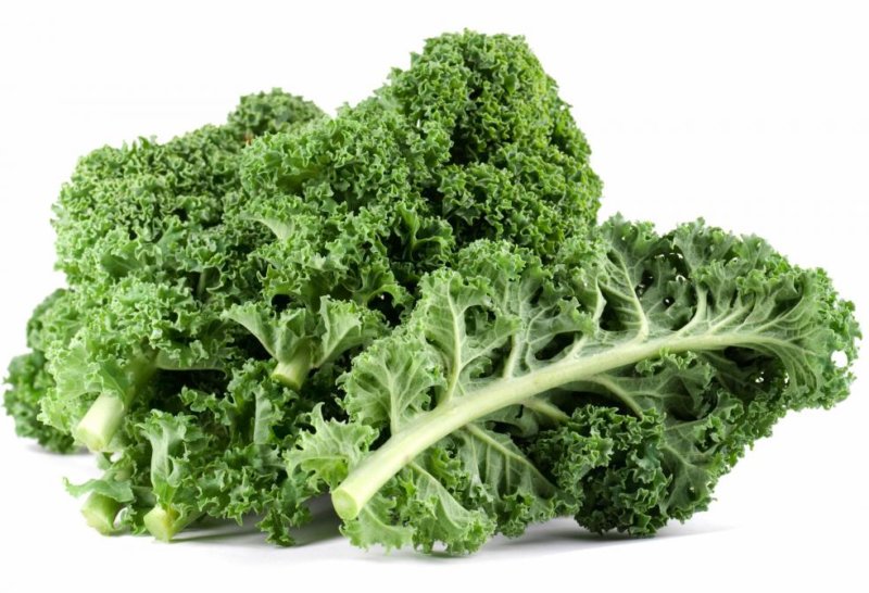 Super Seeds Very Nutritious Winter Resistant Vegetable Kale 1000 Pcs