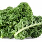 Super Seeds Very Nutritious Winter Resistant Vegetable Kale 1000 Pcs