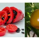 Super Seeds Aji Picante Rocoto Manzano Mix Of Colors Old Variety 10 Pcs
