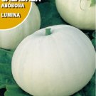 Super Seeds White Giant Pumpkin Variety Lumina Good Taste Garden 25 Pcs