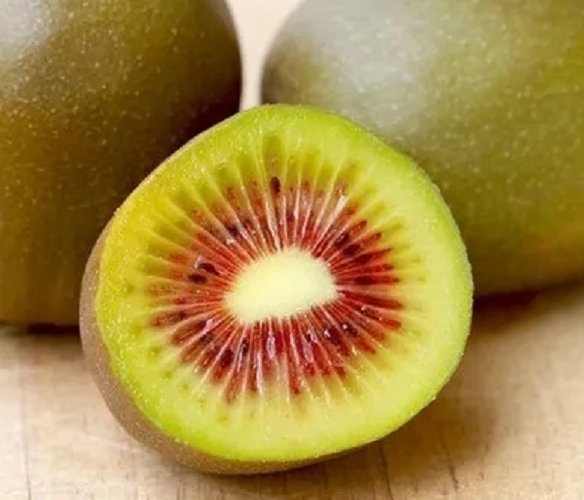 Super Seeds Kiwi Actinidia Chinensis Red Argentine Variety 20 Pcs With Red Meat