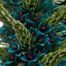Super Seeds Incredible Flowers Puya Berteroniana 20 Pcs