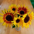Super Seeds Assorted Colors Ornamental Sunflower Autumn Beauty Helianthus 30 Pcs