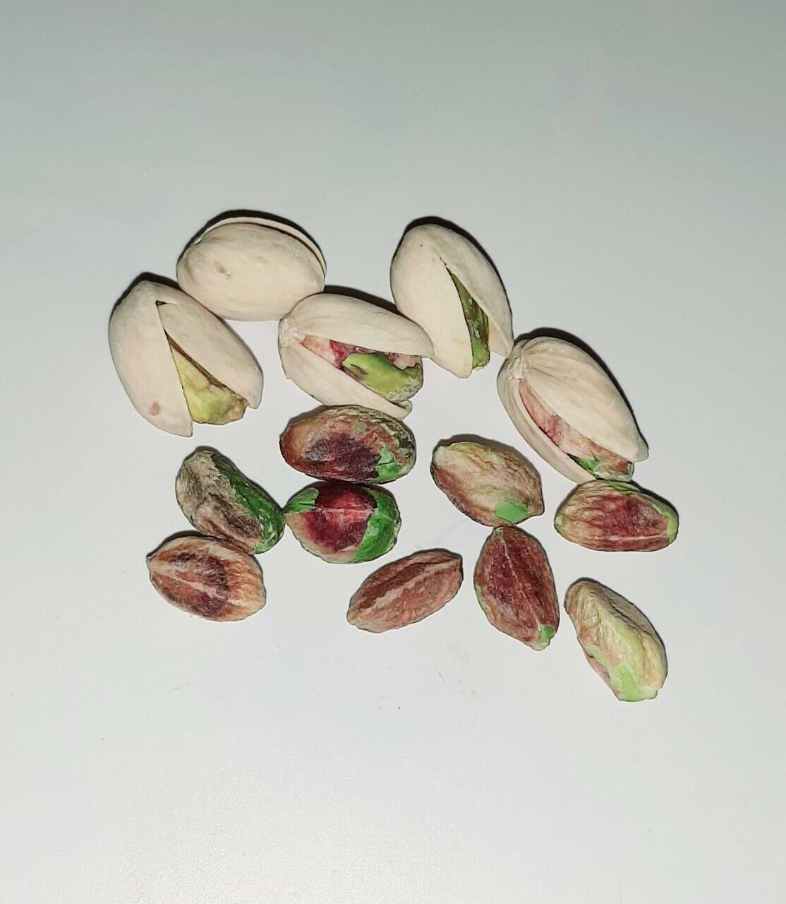 Super Seeds Pistachio Tree Pistacia Vera Pistachio 3 Pcs
