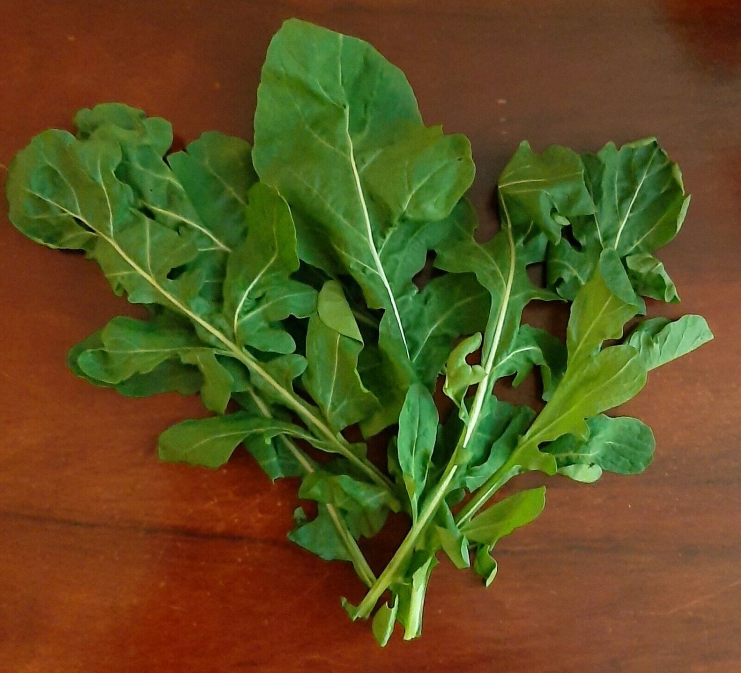 Super Seeds Rucola Arugula For Salads Eruca Sativa 1000 Arugula Pcs Garden