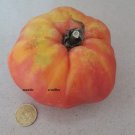 Super Seeds Bull Egg Tomato Var Antique Tomato 200 Pcs Organic