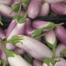 Super Seeds Aubergine Round White Pink Aubergine Bianca Di Rosa 300 Pcs