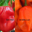 Super Seeds Varied Habanero Mix Hot Pepper 70 Pcs Red And Orange