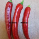 Super Seeds Pepper Pepper Red Chili 200 Pcs