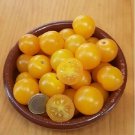 Super Seeds Yellow Nugget Tomato Cherry Gold 70 Pcs