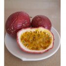 Super Seeds Passion Fruit Passiflora Edulis Purple Passion Fruit 45 Fresh Pcs