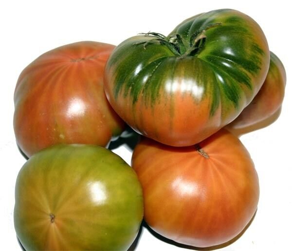 Super Seeds Large Size Raf Tomato Delicious 200 Pcs