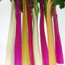 Super Seeds Rainbow Chard 50 Fresh Pcs