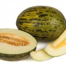 Super Seeds Piñonet Melon Piel De Sapo 100 Fresh Pcs