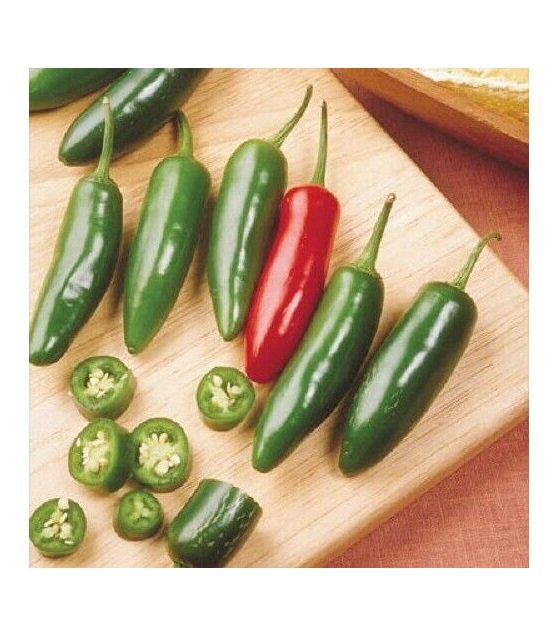 Super Seeds Pepper Hot Serrano 50 Pcs