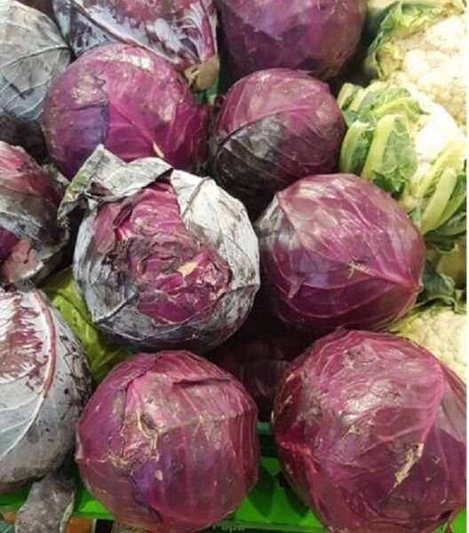 Super Seeds Orchard Red Cabbage Purple Black Head 1000 Pcs