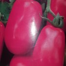 Super Seeds Orchard Indeterminate Roma Pear Tomato Special Sauces 300 Pcs