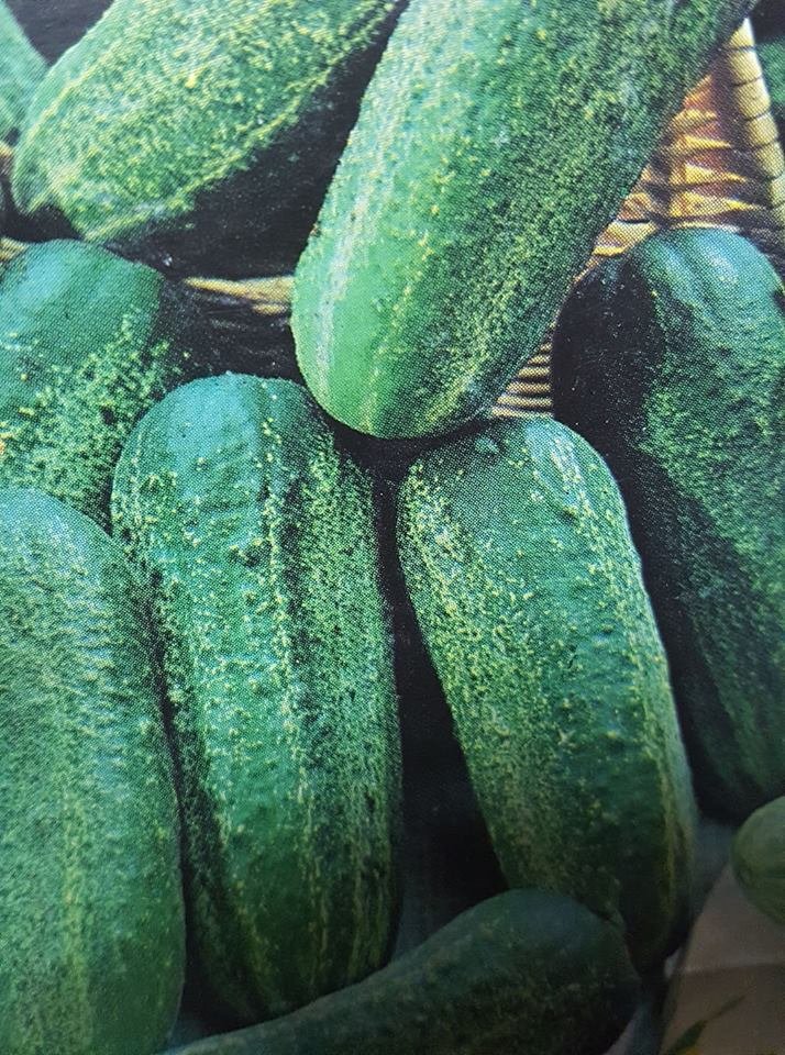 Super Seeds Ideal Stitch Paris Cornichon Cucumber 60 Pcs