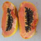 Super Seeds Papaya Giant Fruit Delicious Papaya Carica 50 Pcs Fruit Orchard