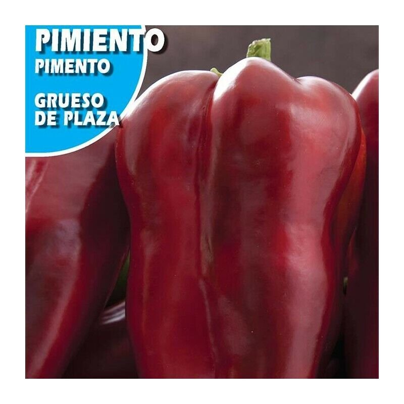 Super Seeds Red Plaza Thick Pepper 150 Pcs