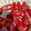 Super Seeds Fresh Piquillo Pepper 200 Pcs