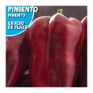 Super Seeds Thick Red Pepper Plaza 150 Pcs