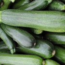 Super Seeds Black Beauty Zucchini Black Beauty Zucchini 50 Pcs