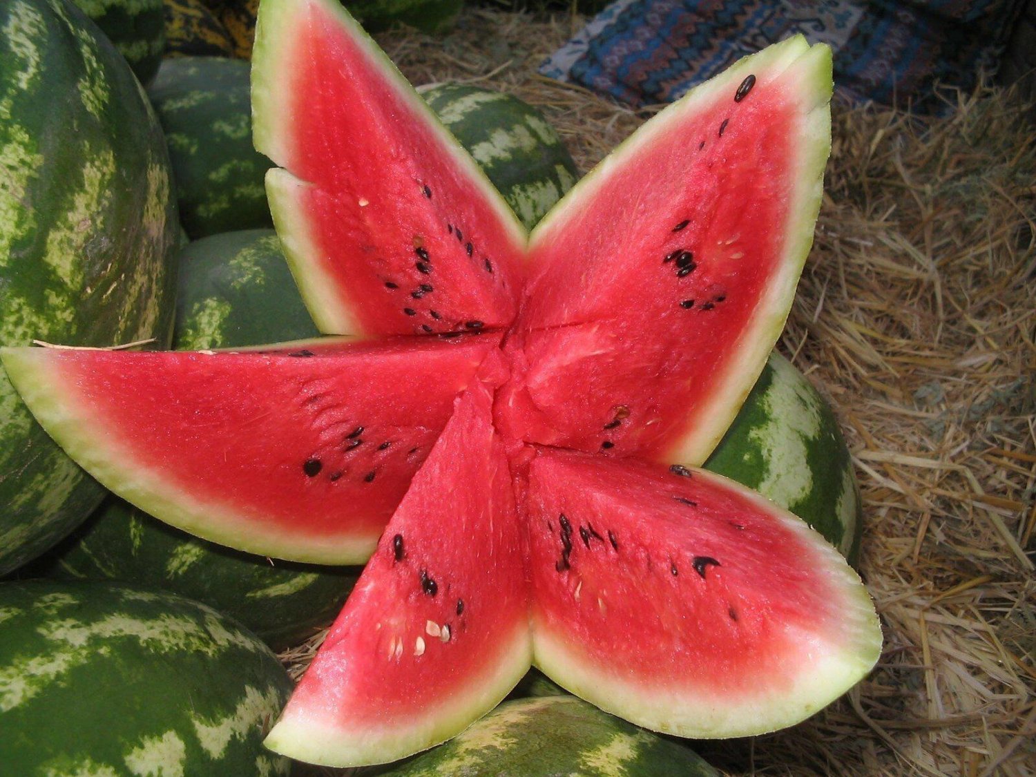 Super Seeds Watermelon Klondike 210 Pcs