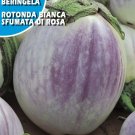 Super Seeds Redonda Berenjena Rotonda Bianca Di Rosa 600 Pcs