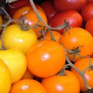 Super Seeds Indeterminate Tomato Oro Delicious 100 Pcs