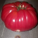 Super Seeds Garden Orchard Giant Pink Tomato 30 Pcs