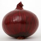 Super Seeds Red Onion Niort 200 Pcs