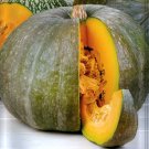 Super Seeds Good Taste Sweet Oven Pumpkin 12 Pcs