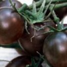 Super Seeds Tomato Black Cherry 70 Pcs Black Chocolate Garden
