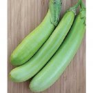 Super Seeds Old Variety Long Green Eggplant 30 Pcs