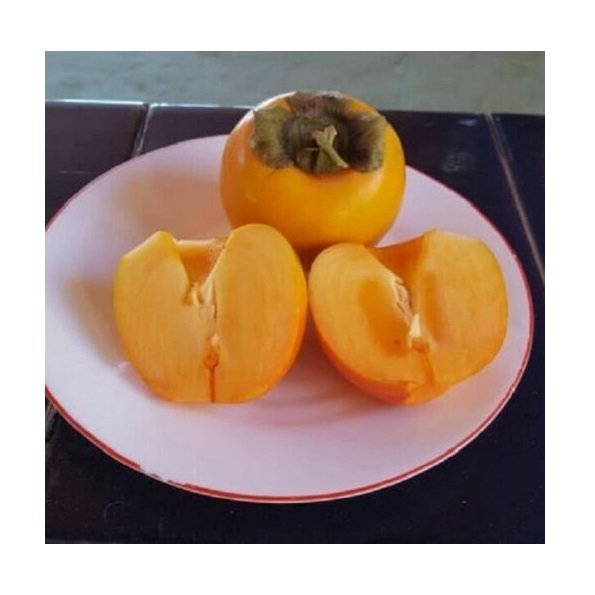 Super Seeds Japanese Persimmon Kaiki Persimmon Diospyros Kaki 10 Pcs