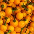 Super Seeds The Worlds Most Expensive Chili Aji Charapita Chili 10 Pcs Fresh