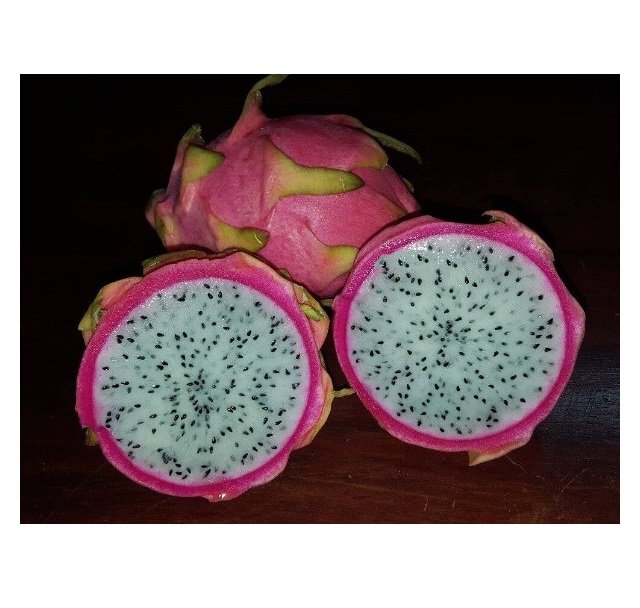 Super Seeds Excellent Taste Pitaya Hylocereus White Meat Pitahaya 50 Pcs