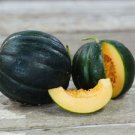 Super Black Rock Melon Rare Seeds Pcs 10 Black Melon Of Carmes Cucumis Melo