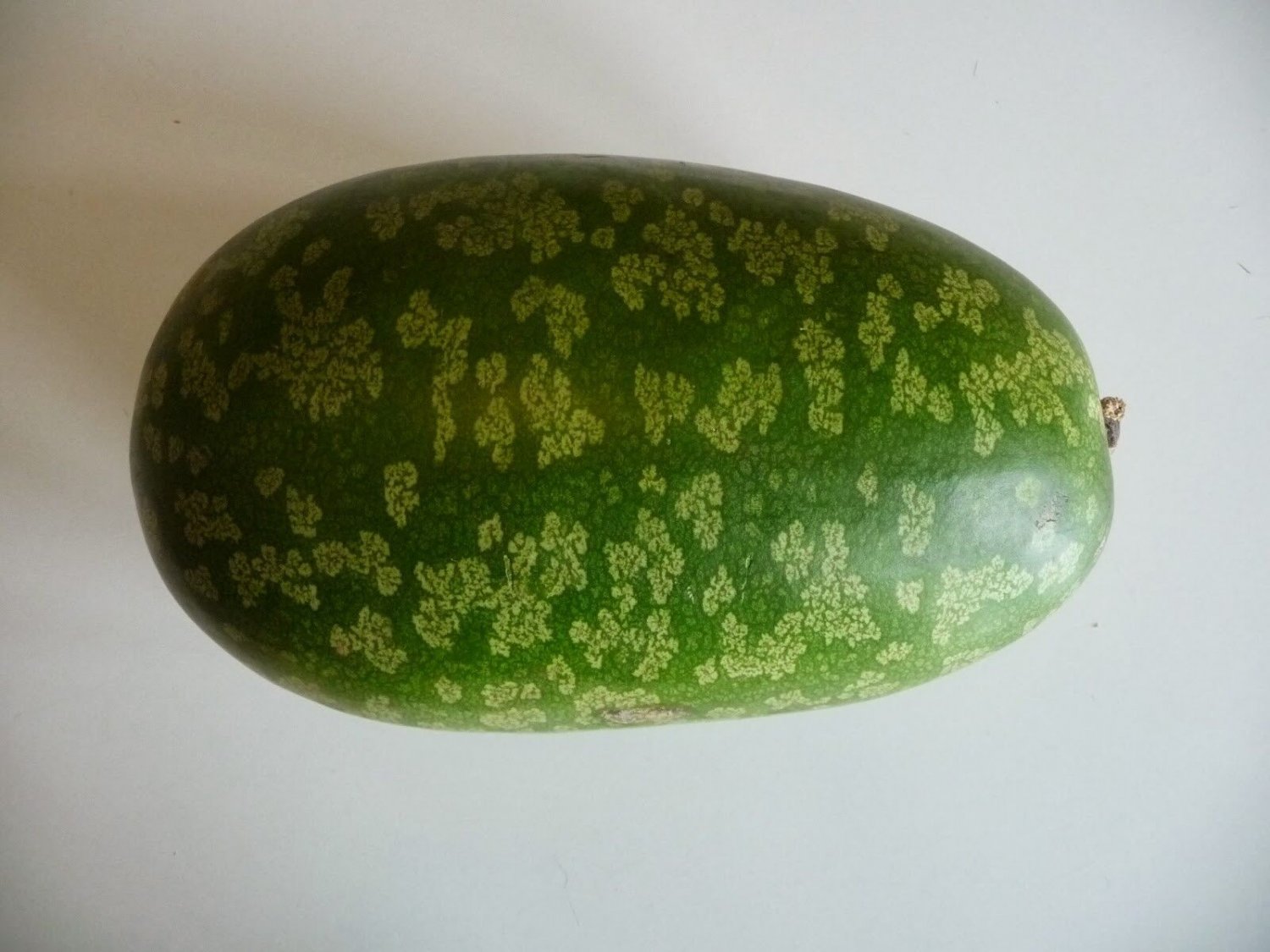 Super Citrullus l Seeds Pcs 5 Watermelon Jam Citre Ging&Atilde;&copy;rine M&Atilde;&copy;r&Atilde;&copy;ville l09