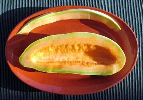 Super Banana Melon Rare Seeds Pcs 10 Melon Banane Des Usa Cucumis Melo