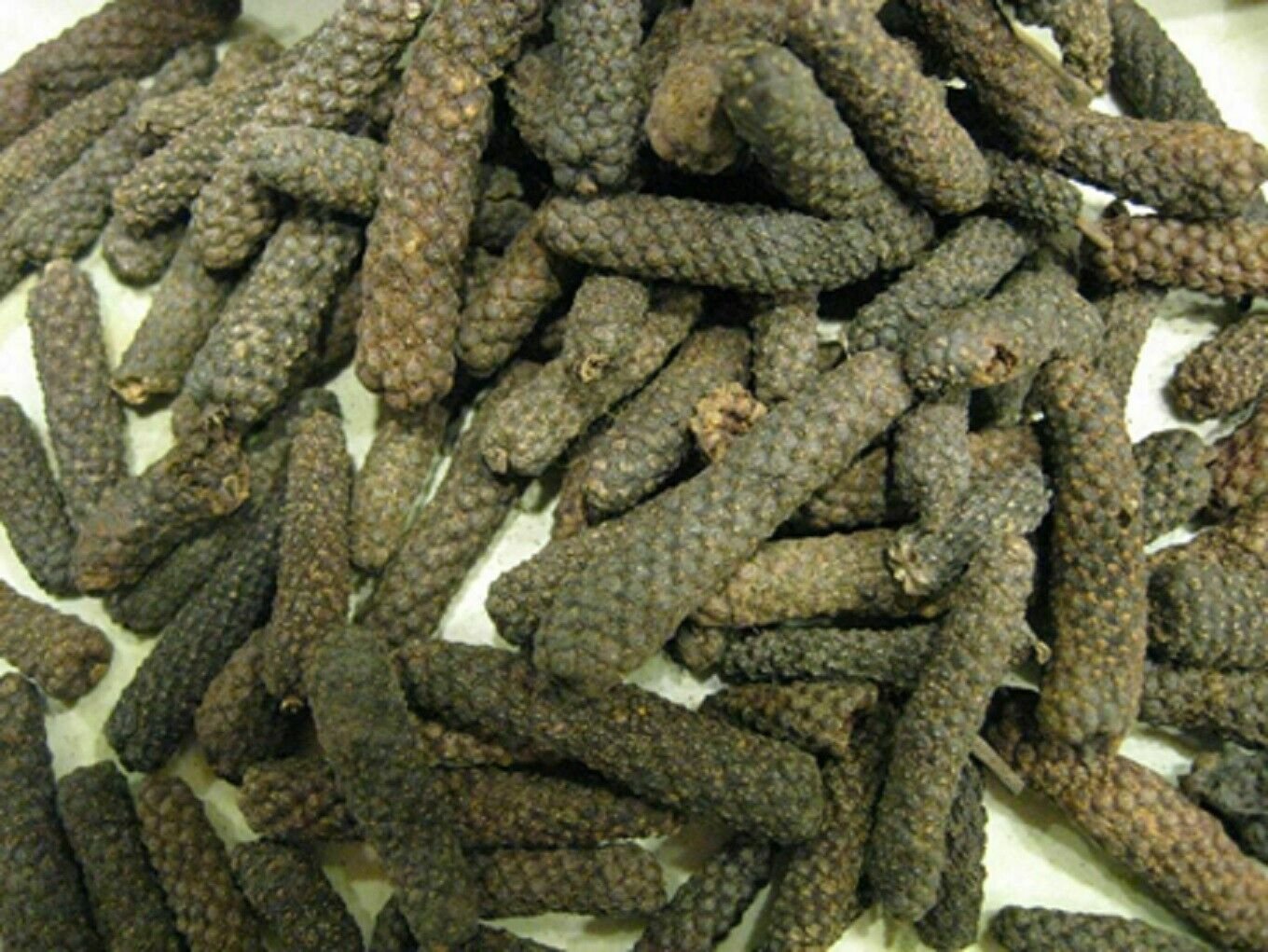 Super Indian Seeds Pcs 5 Long Pepper Piper Longum