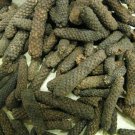 Super Indian Seeds Pcs 5 Long Pepper Piper Longum