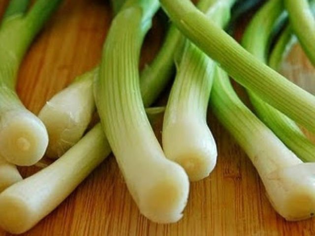 Super Bunshing Onion Seeds Pcs 80 Japanese Onion Leek Allium f Ishikura