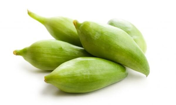 Super Achocha Seeds Pcs 4 Andes Cucumber Cyclanthera Pedata Caigua