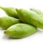 Super Achocha Seeds Pcs 4 Andes Cucumber Cyclanthera Pedata Caigua