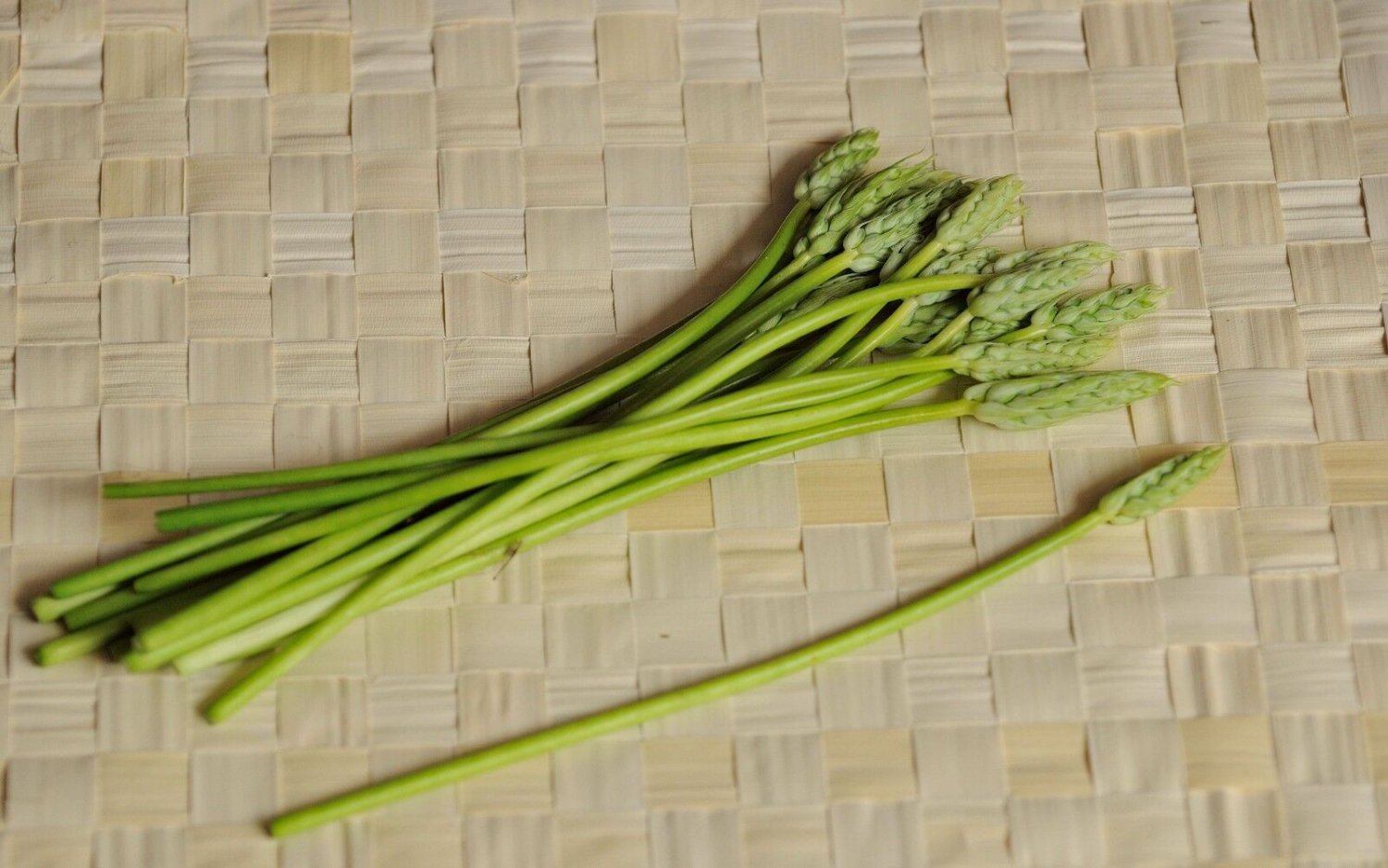 Super Bath Asparagus Seeds Pcs 8 Asperge Des Bois Ornithogalum Pyrenaicum